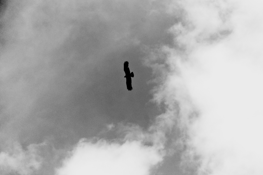 2007.06.11-24 urlop 01